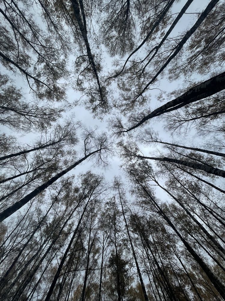 Photograph by Олеся Легостаева