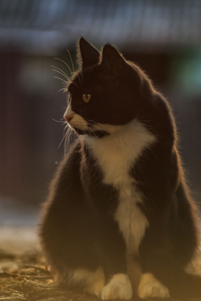 Photograph by Елена Квасова