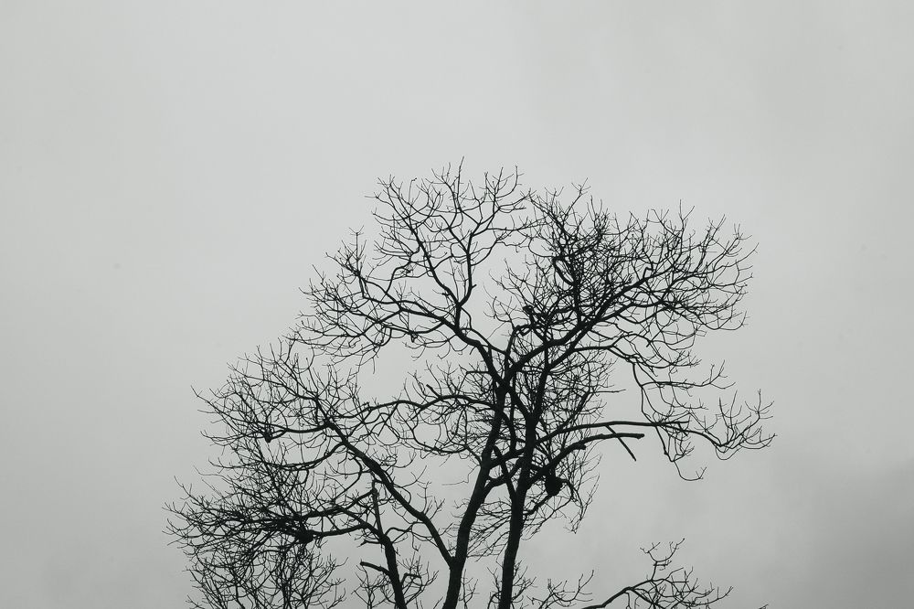 Фотография автора Nam Phạm