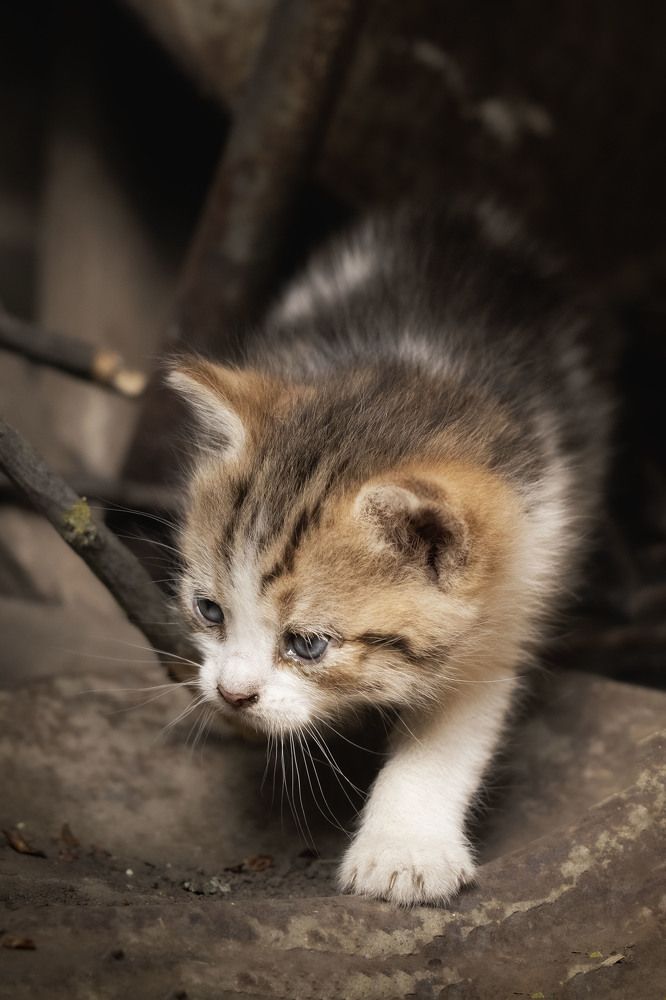 Photograph by Markéta Mastešová