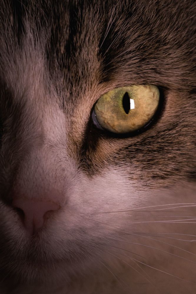 Photograph by Markéta Mastešová