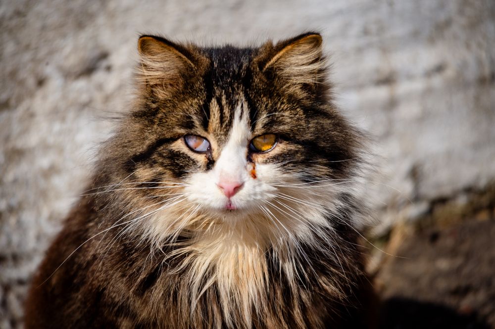 Photograph by Антон Демидов