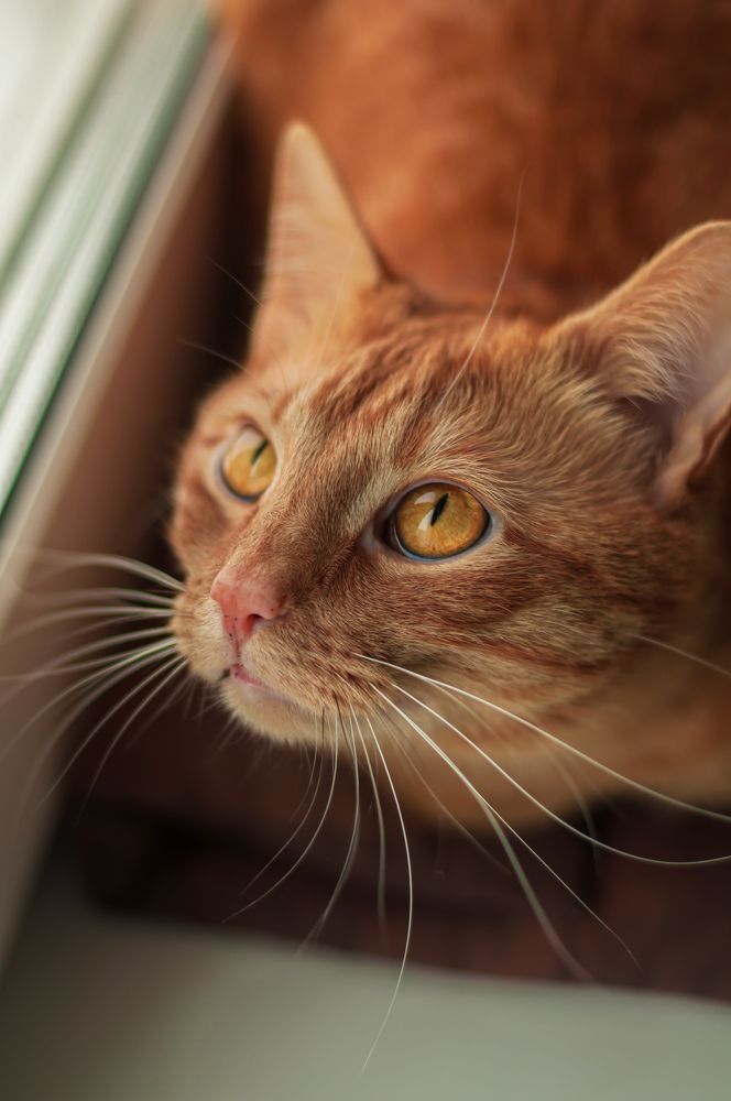 Photograph by Виктория Павлюк