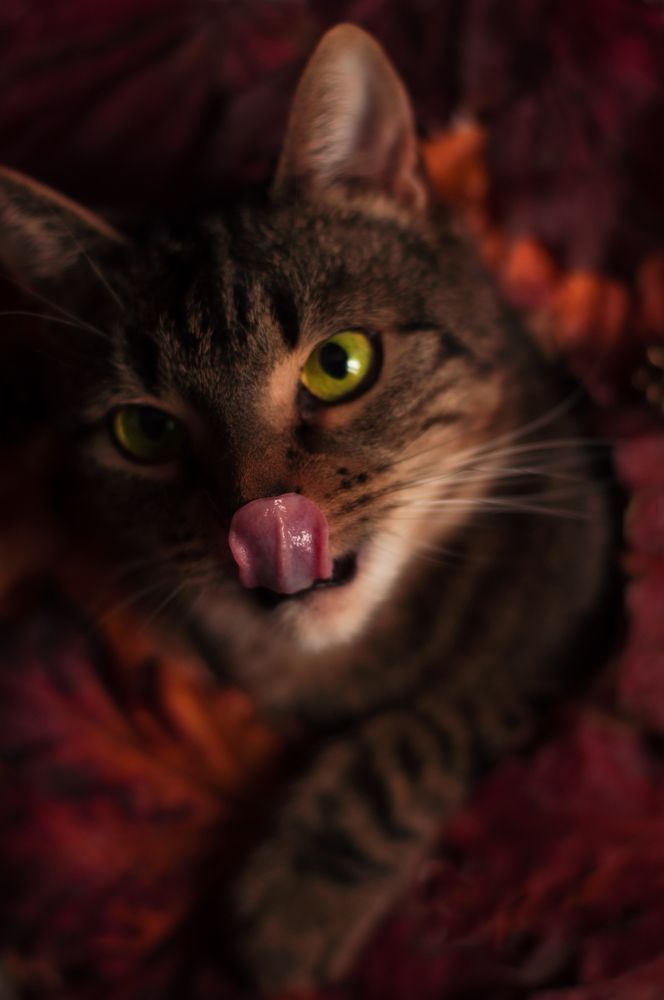 Photograph by Виктория Павлюк