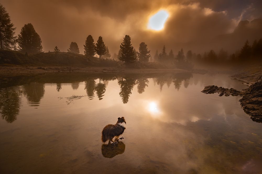 Photograph by Daniela Schmid