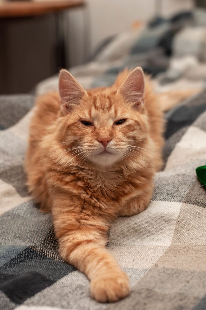 Photograph by Виктория Павлюк