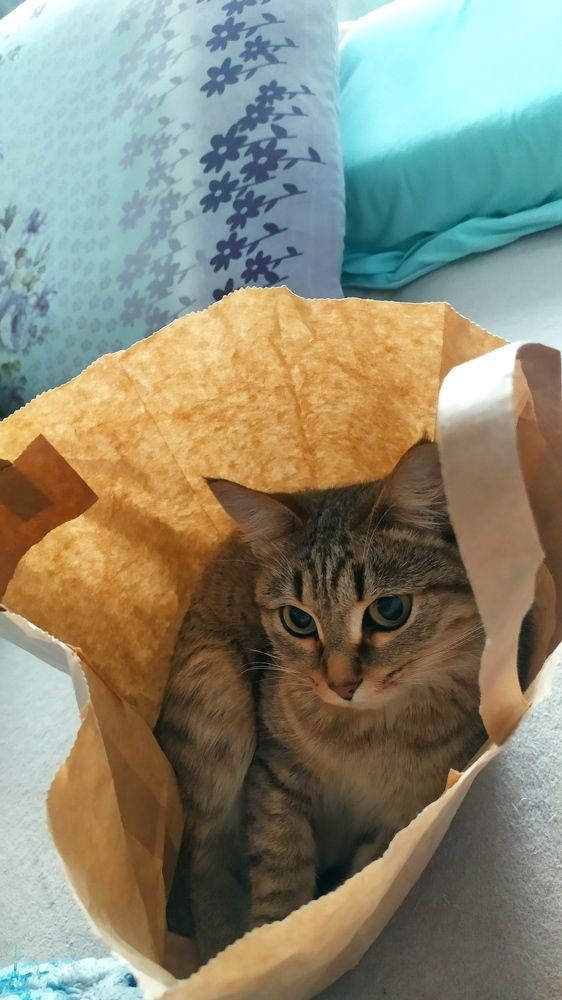 Photograph by Наталья