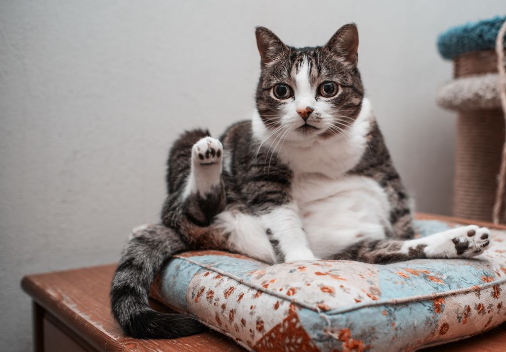 Photograph by Kirill Yakowlew