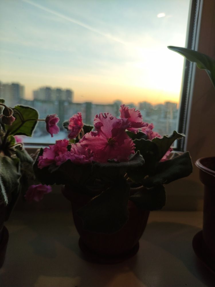 Photograph by Кристина Сметанина