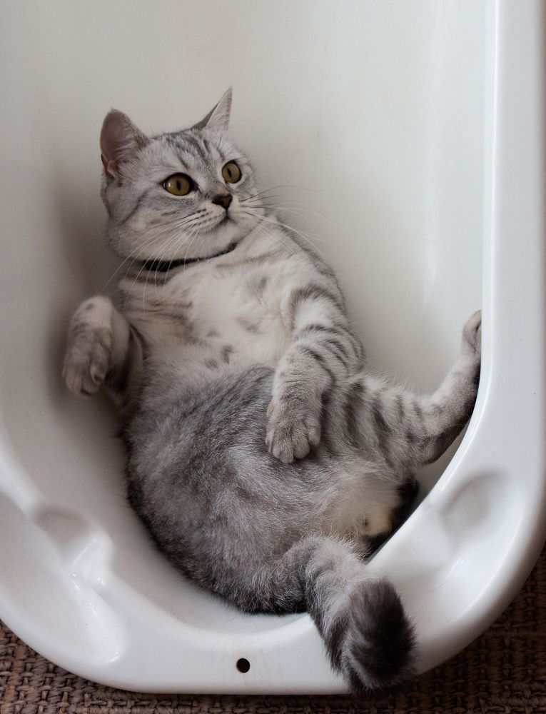 Photograph by виктор ковчин