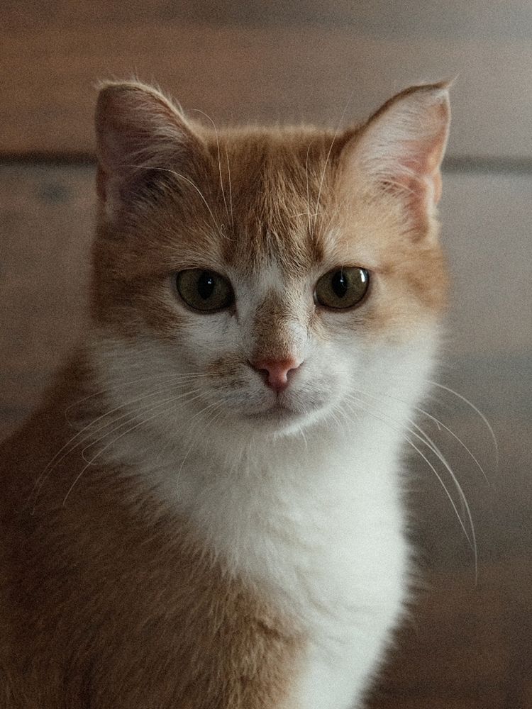 Photograph by Сергей Рыжиков