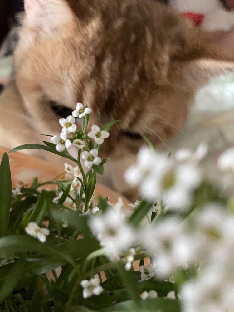 Photograph by Таня Ускова