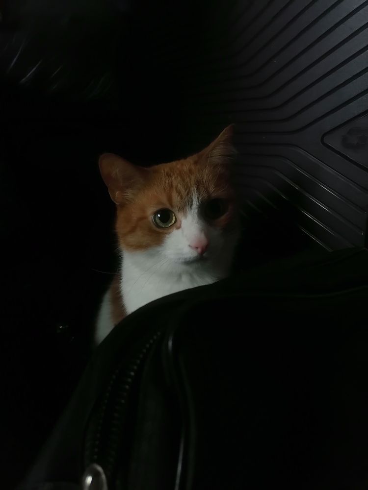 Фотография автора Виталий Дузь