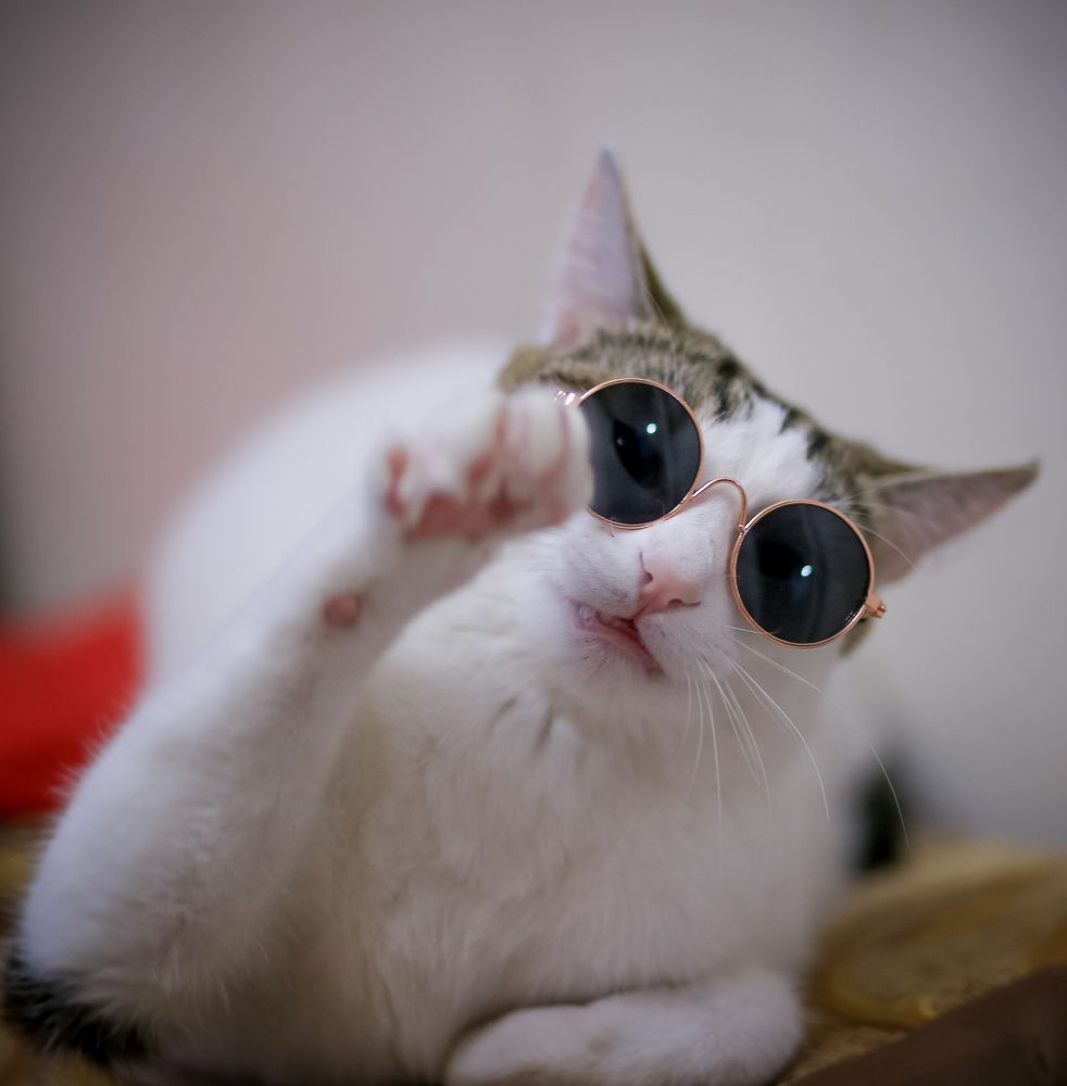 Photograph by Львица Катюша