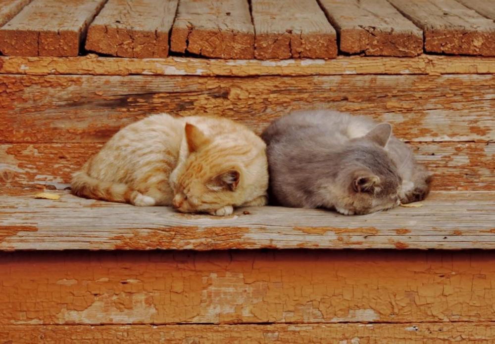 Photograph by Павел Васильев