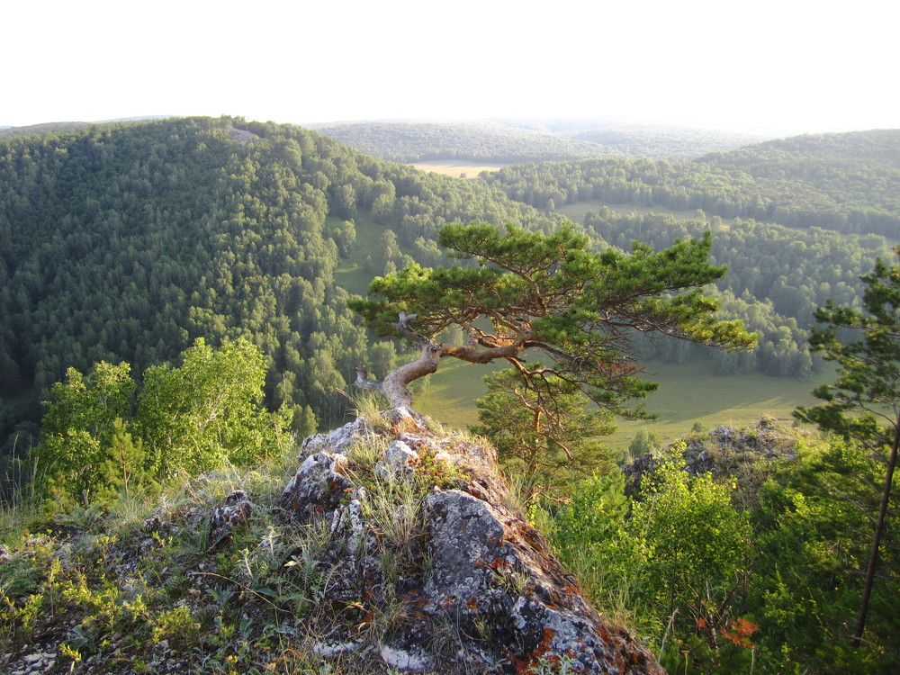 Photograph by Наталья Дубовкина