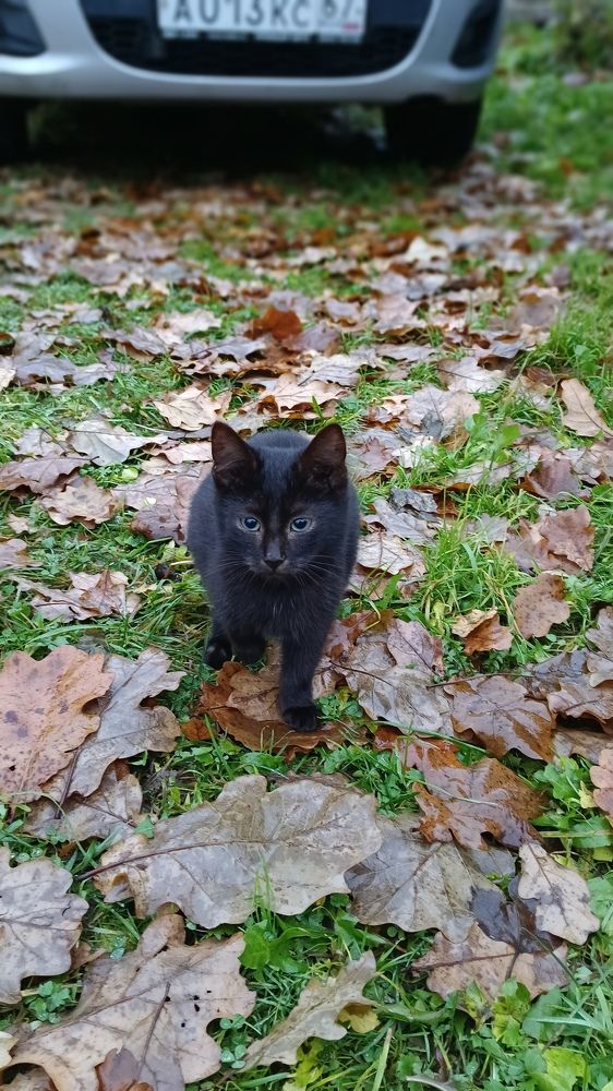 Photograph by Евгения Серебрякова