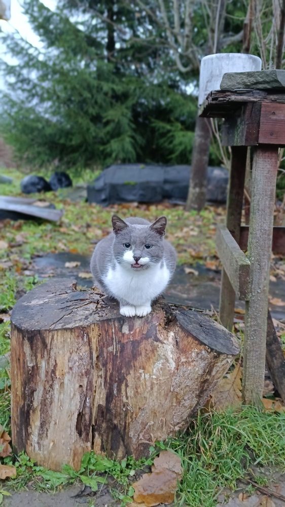 Photograph by Евгения Серебрякова