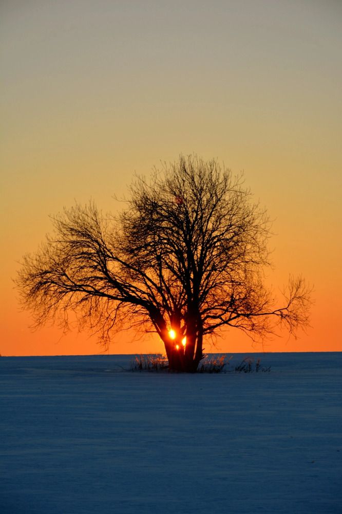 Фотография автора Злобин Сергей