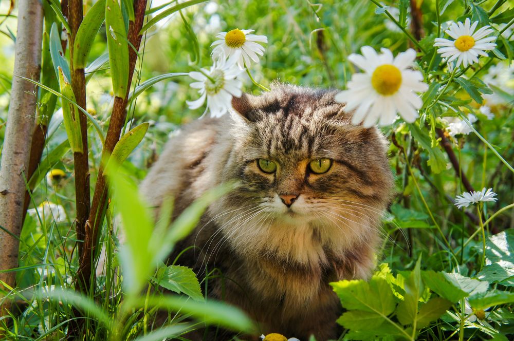 Фотография автора Ксения