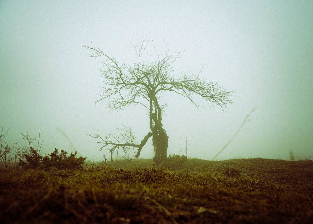 Надломлен, но не сломлен