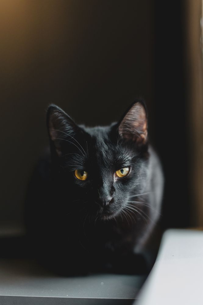 Photograph by Эльвира Грызлова