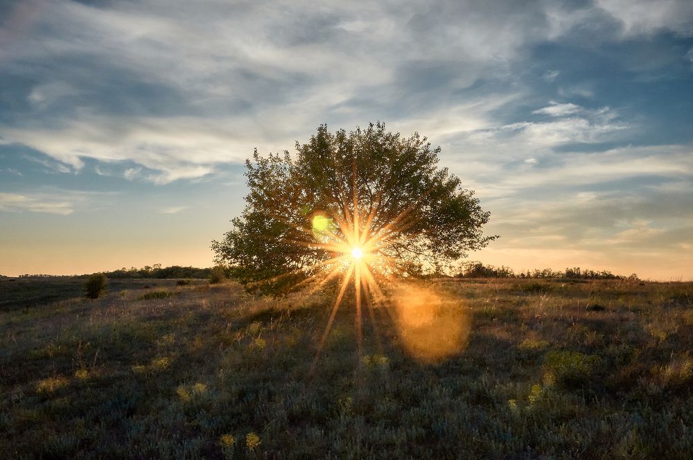 Photograph by Виталий Кравченко