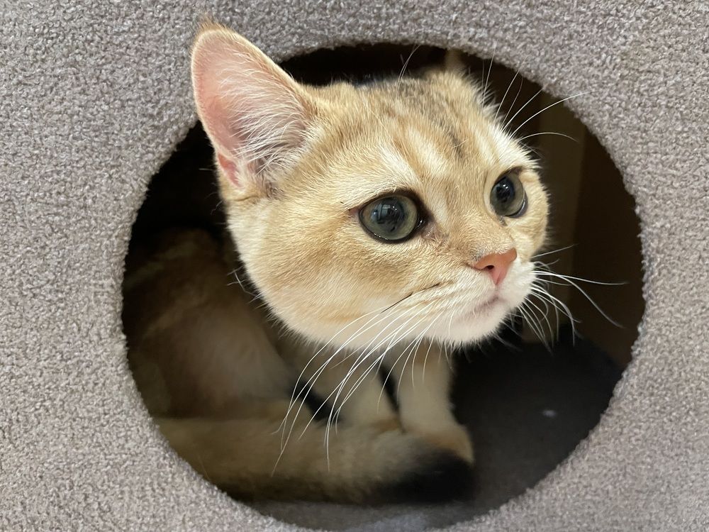 Photograph by Таня Ускова