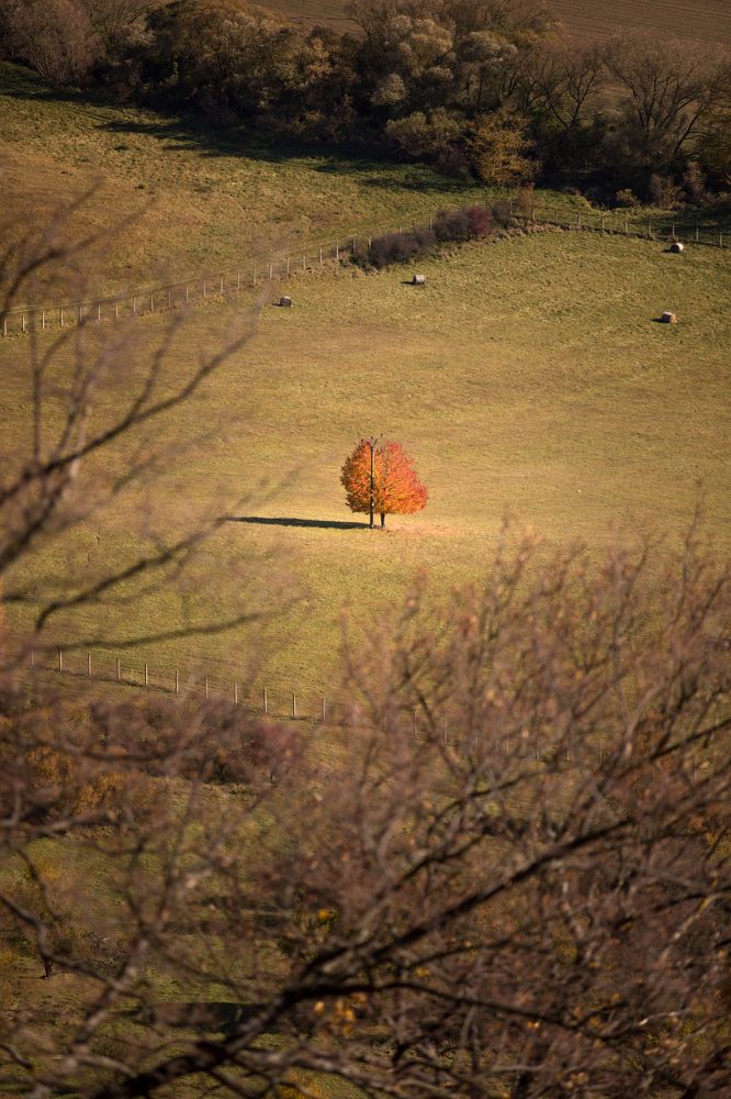 Photograph by Mario Furčák