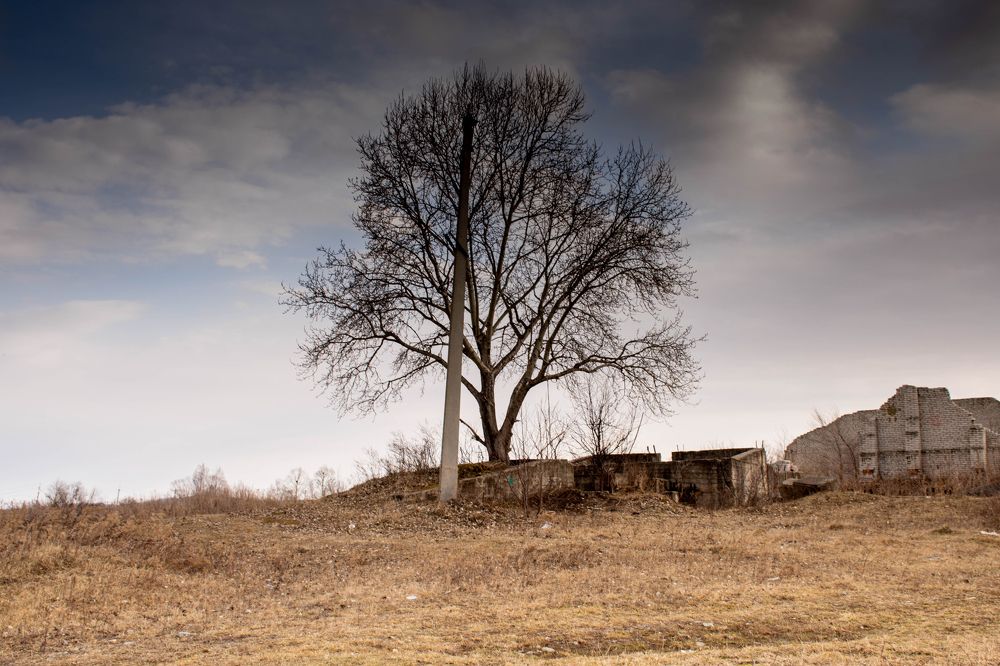 Photograph by Ольга Одинцова