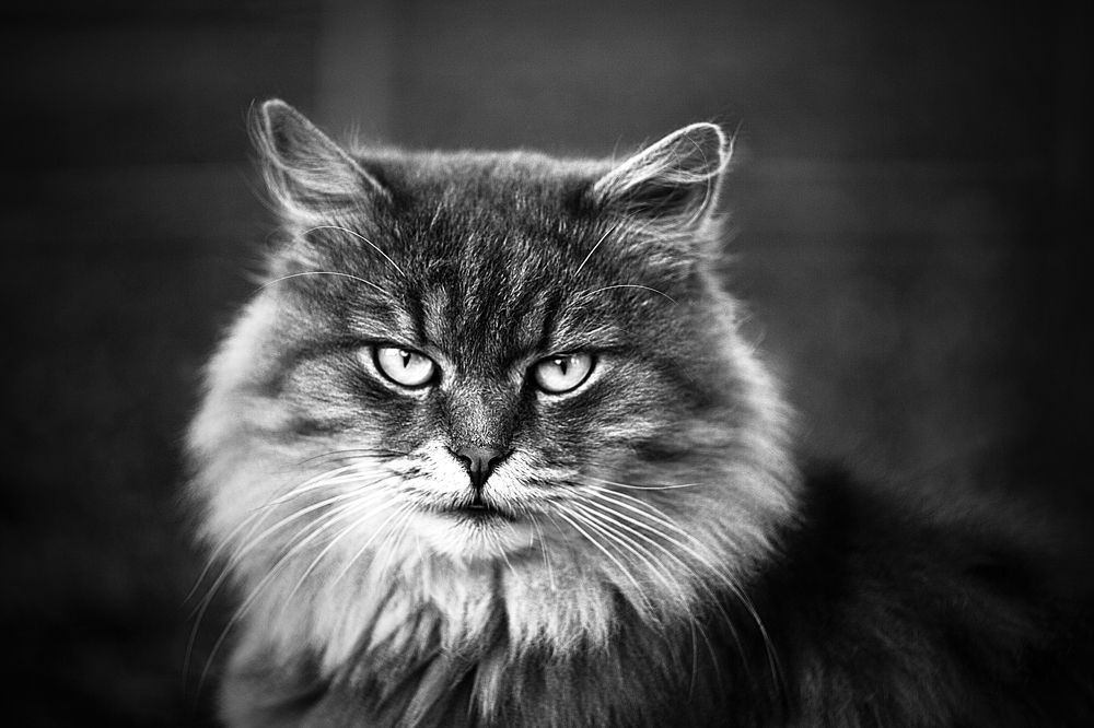 Photograph by Алексейчик Ольга