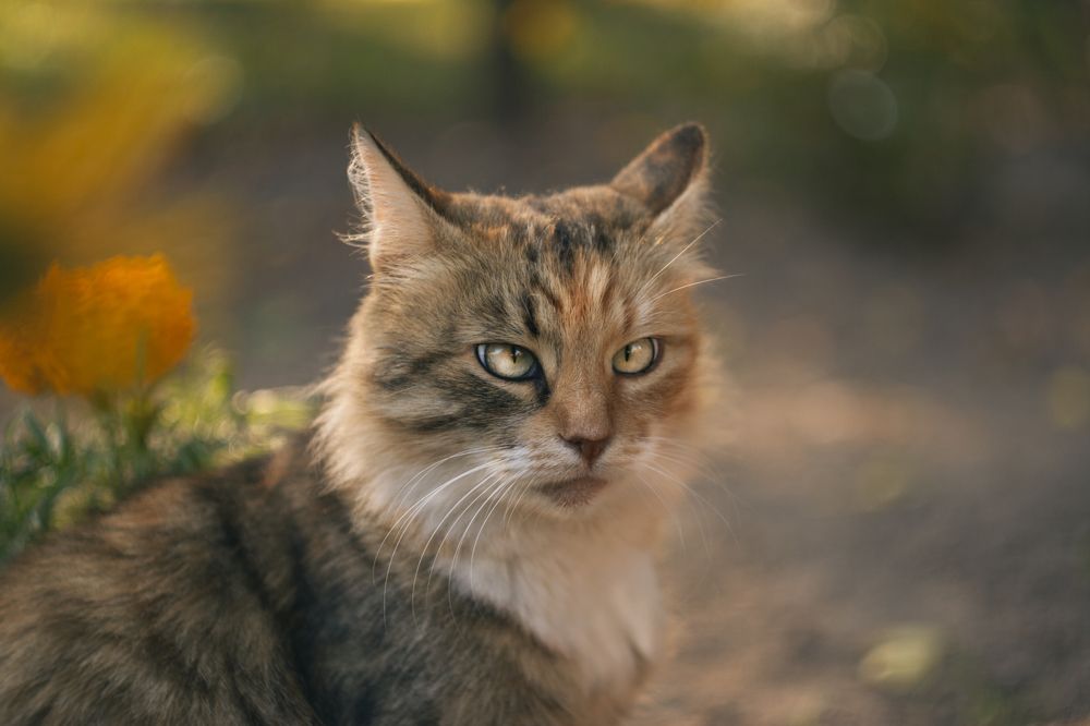 Photograph by Алексейчик Ольга