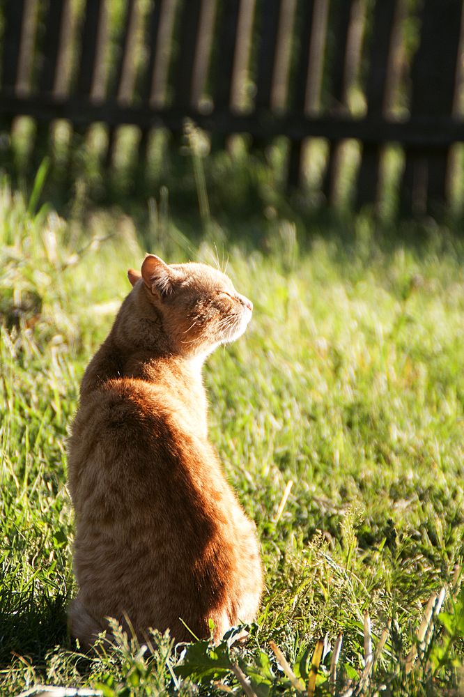 Photograph by Алексейчик Ольга