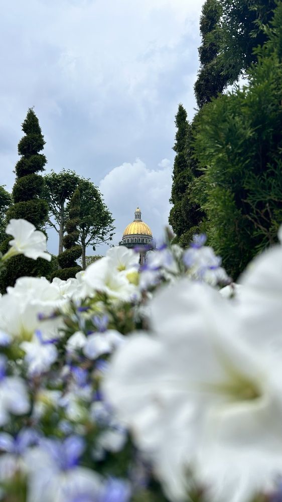 Photograph by Алексей Скорик