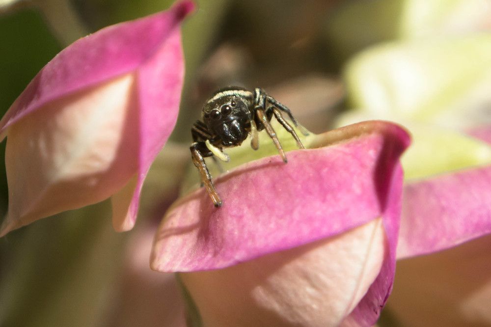 Photograph by Людмила Прибылова