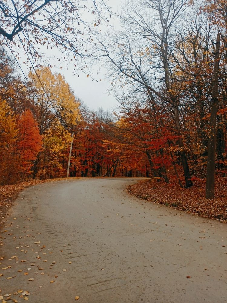 Photograph by Наталья Шраменко