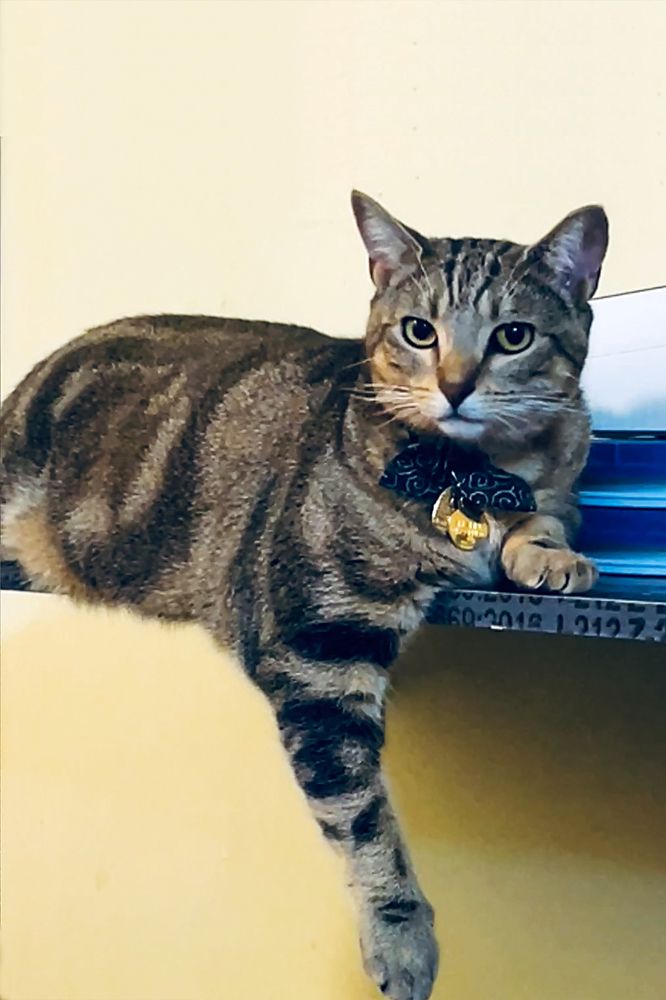 Photograph by  賴清淇