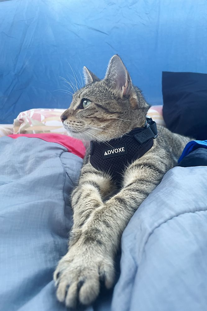 Photograph by  賴清淇