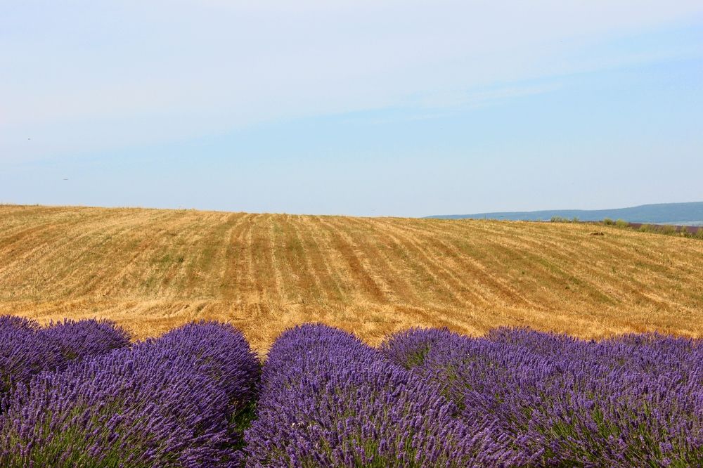 Photograph by Наталья Шраменко
