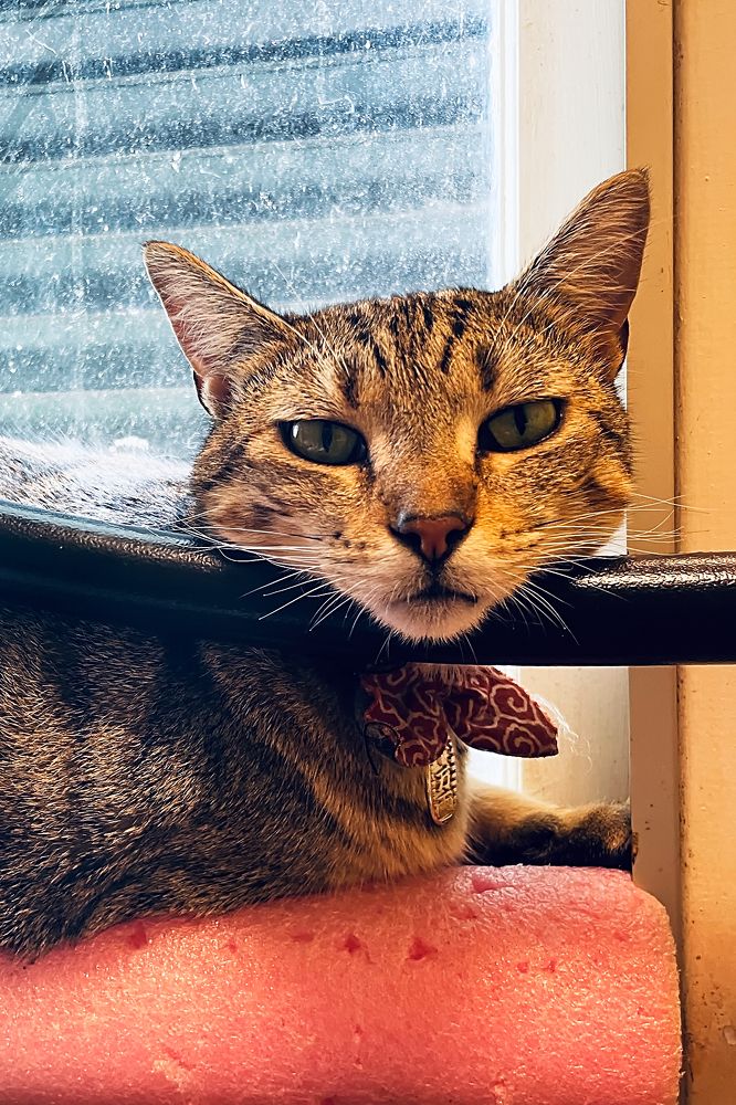 Photograph by  賴清淇