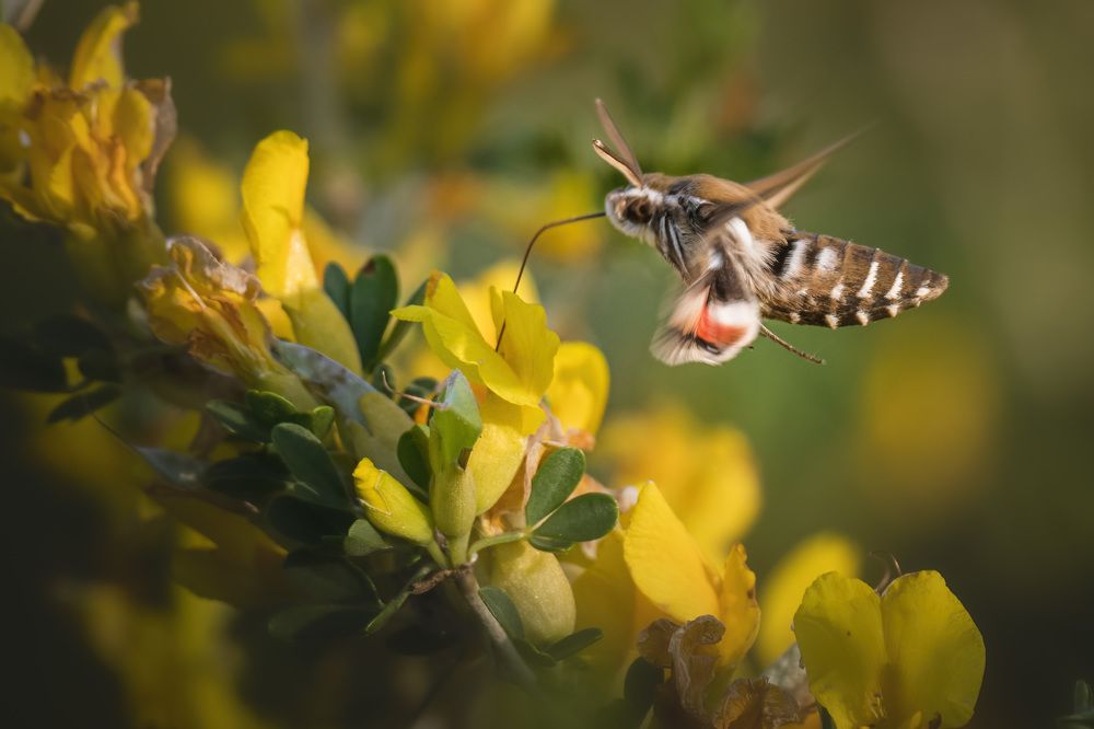 Photograph by Вячеслав Ладанов