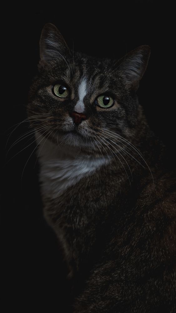 Photograph by Елена Ненашкина