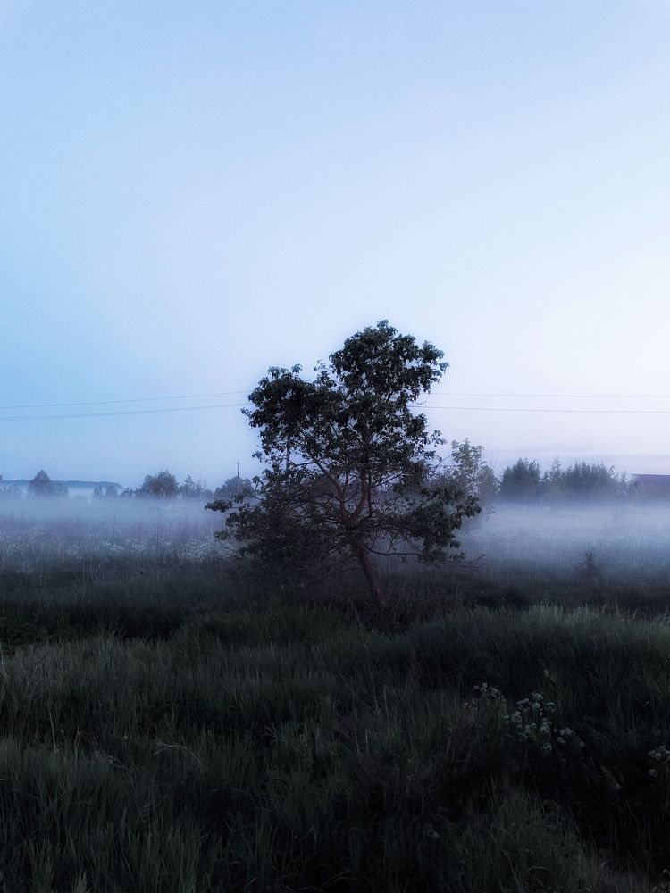 Photograph by Ася Весна