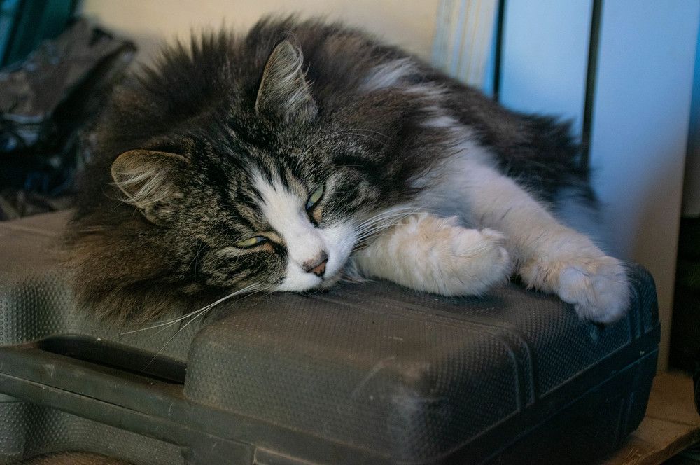 Photograph by Ольга Одинцова