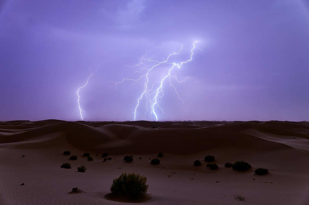 Фотография автора Georgy Elkin