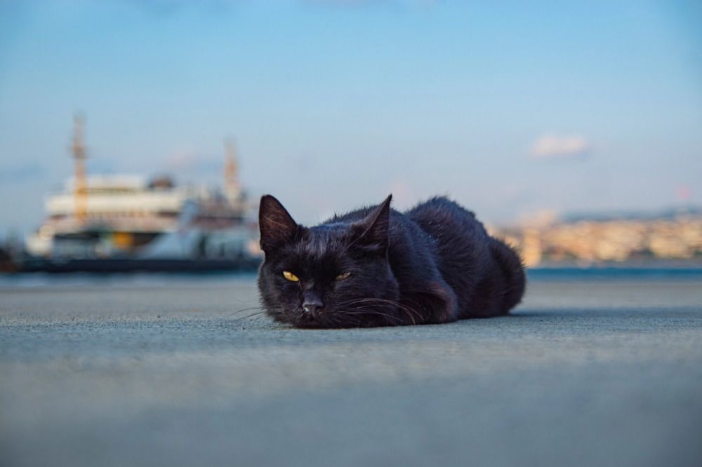 Photograph by Анна Васильева