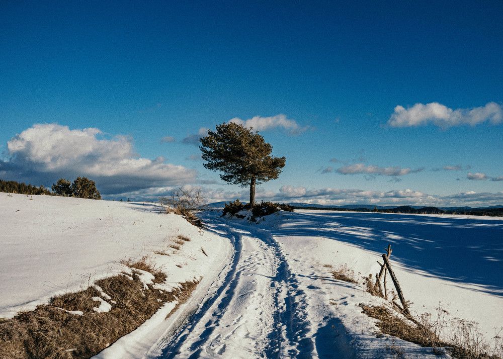 Photograph by Александр Дмитриев