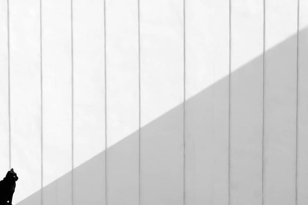 Photograph by Nazanin Davari