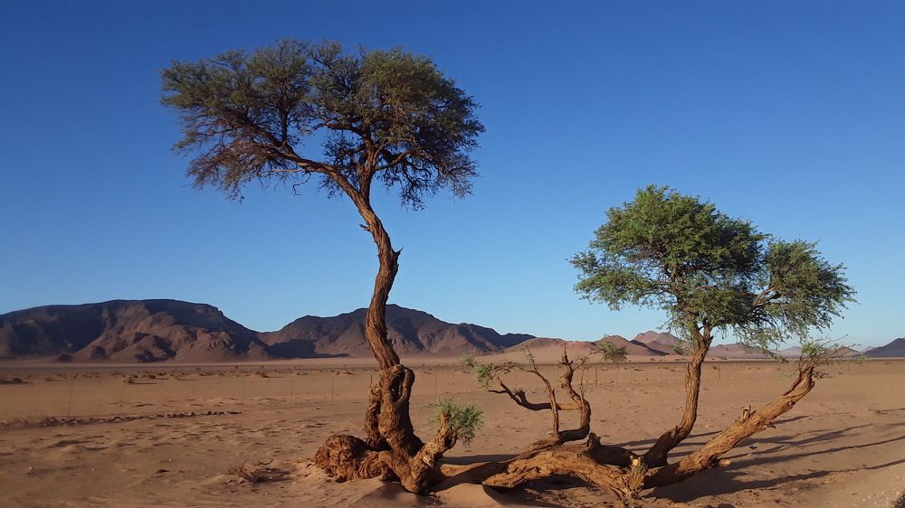 Фотография автора Grant Botha