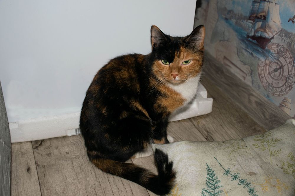 Photograph by Ольга Одинцова